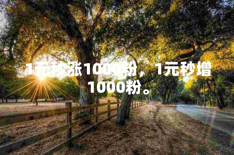 1元秒涨1000粉，1元秒增1000粉。