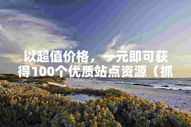 以超值价格，一元即可获得100个优质站点资源（抓住机会，尽享优惠！）。