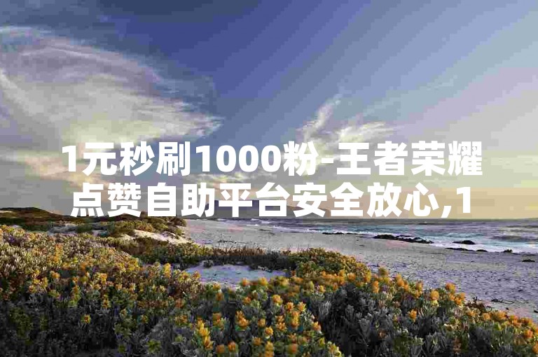 1元秒刷1000粉-王者荣耀点赞自助平台安全放心,1元100w赞