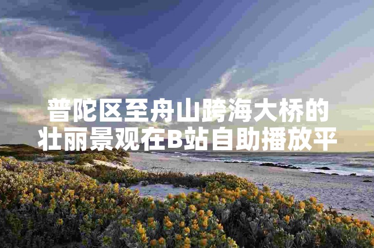 普陀区至舟山跨海大桥的壮丽景观在B站自助播放平台上吸引了众多观众。