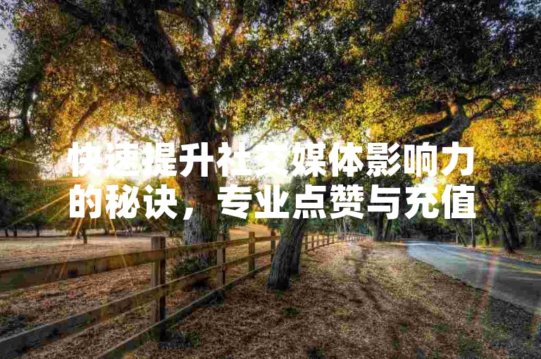 快速提升社交媒体影响力的秘诀，专业点赞与充值服务，助您轻松获得高亲密度。