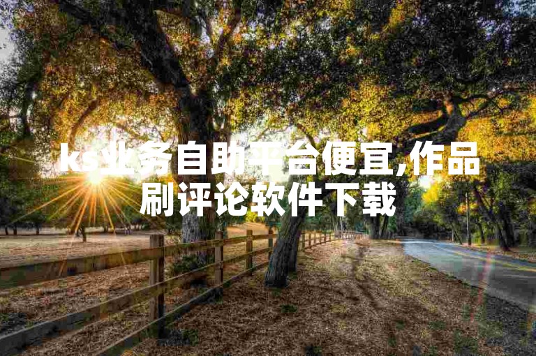 ks业务自助平台便宜,作品刷评论软件下载