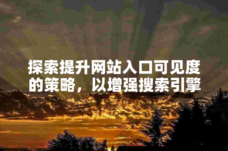 探索提升网站入口可见度的策略，以增强搜索引擎的优化效果。