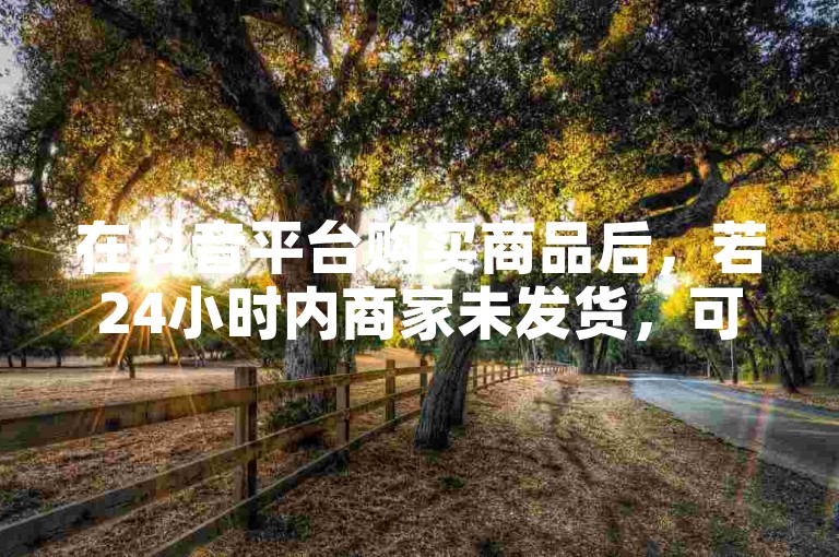 在抖音平台购买商品后，若24小时内商家未发货，可联系客服询问原因。