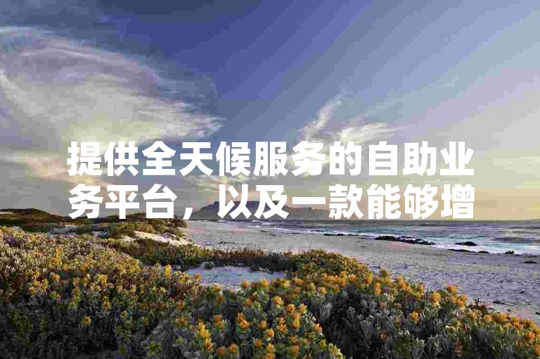 提供全天候服务的自助业务平台，以及一款能够增加QQ访客量的应用程序。