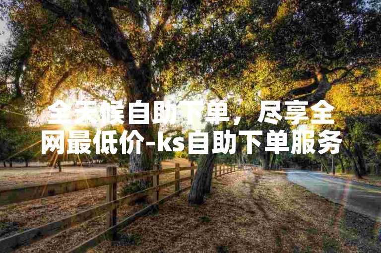 全天候自助下单，尽享全网最低价-ks自助下单服务平台。