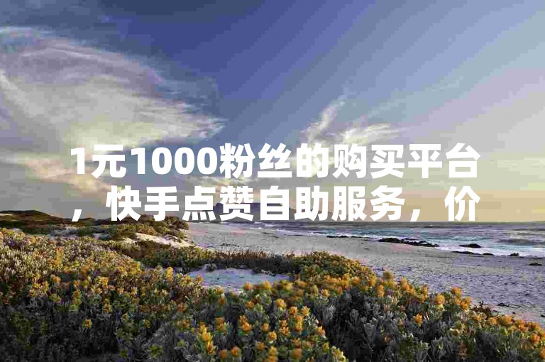 1元1000粉丝的购买平台，快手点赞自助服务，价格实惠。