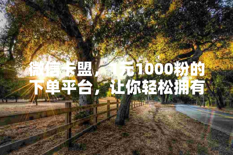 微信卡盟，1元1000粉的下单平台，让你轻松拥有大量粉丝。