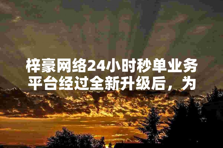 梓豪网络24小时秒单业务平台经过全新升级后，为用户提供了更加高效便捷的服务体验。
