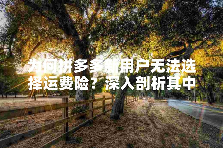 为何拼多多新用户无法选择运费险？深入剖析其中缘由。