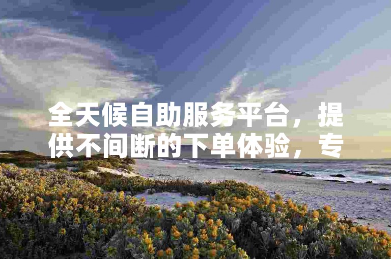全天候自助服务平台，提供不间断的下单体验，专为提升QQ空间人气而设计。