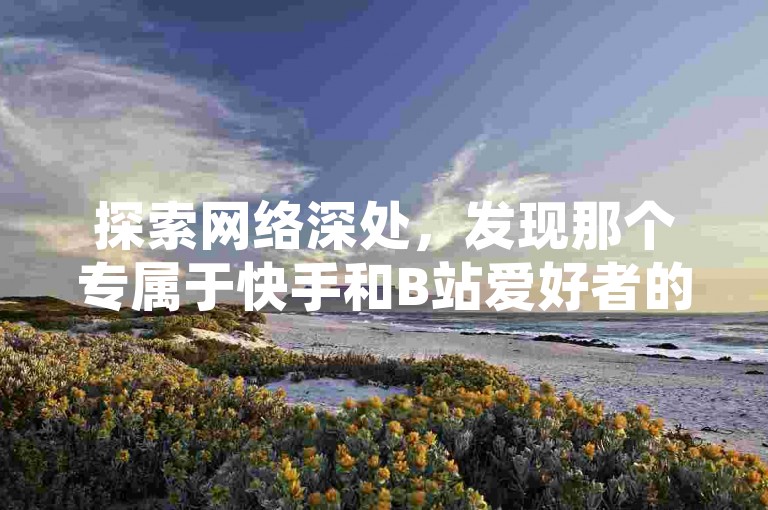 探索网络深处，发现那个专属于快手和B站爱好者的神秘角落——黑夜代刷网站，一个提供全网最低价服务的快手业务平台，以及专为B站用户定制的业务下单圣地。