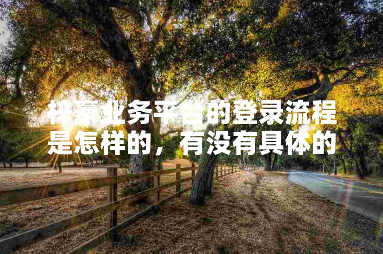 梓豪业务平台的登录流程是怎样的，有没有具体的指南可以参考？