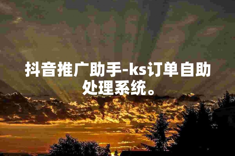 抖音推广助手-ks订单自助处理系统。