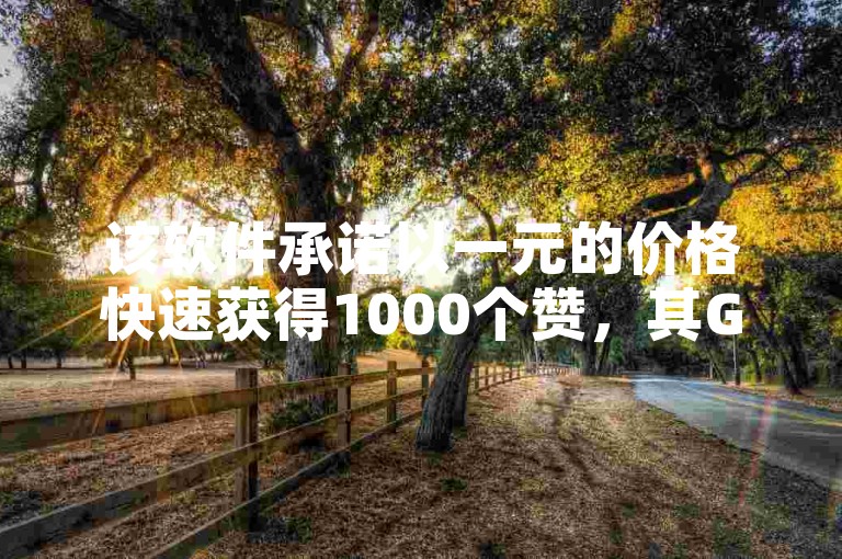该软件承诺以一元的价格快速获得1000个赞，其GM版本号为169.324.175。