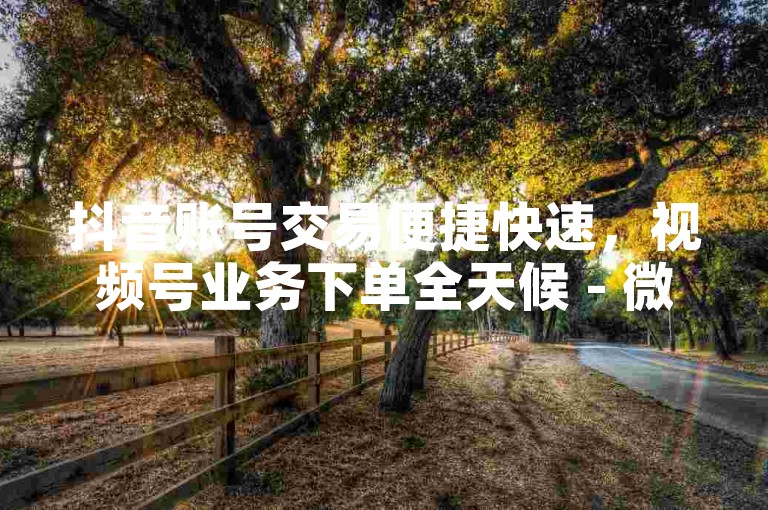 抖音账号交易便捷快速，视频号业务下单全天候 - 微信24小时全自助下单平台 - 十元百抖币通道。