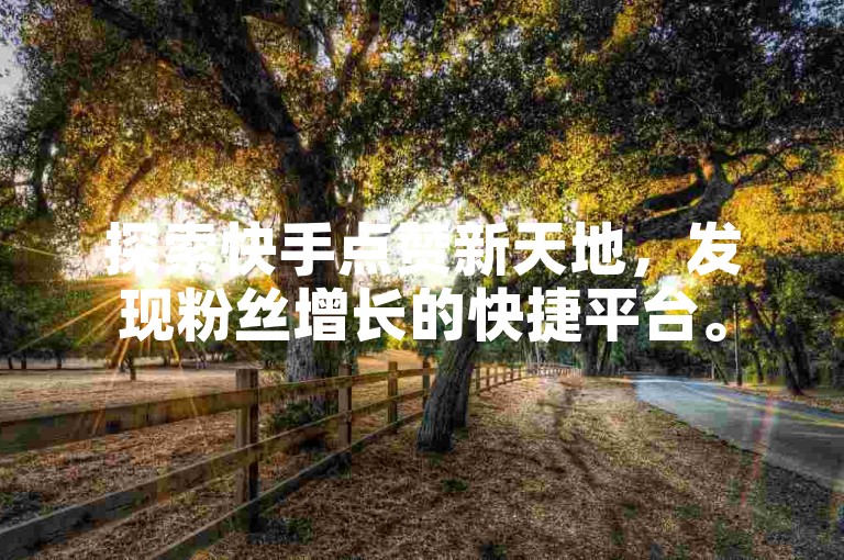 探索快手点赞新天地，发现粉丝增长的快捷平台。