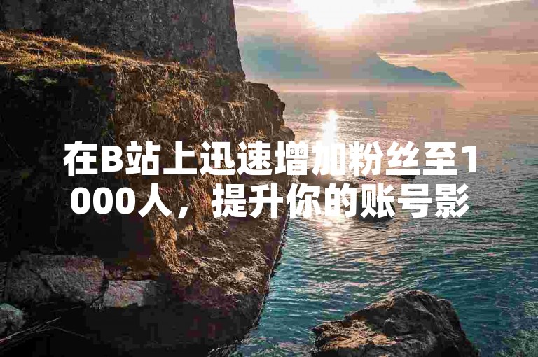 在B站上迅速增加粉丝至1000人，提升你的账号影响力。