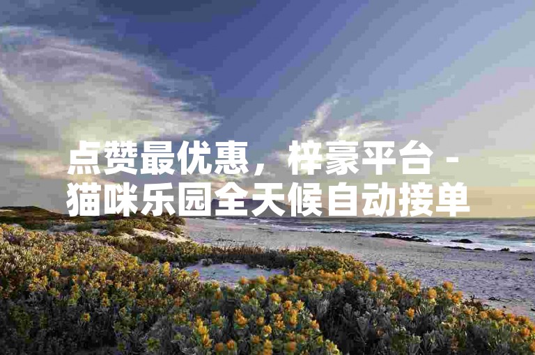 点赞最优惠，梓豪平台 - 猫咪乐园全天候自动接单服务。