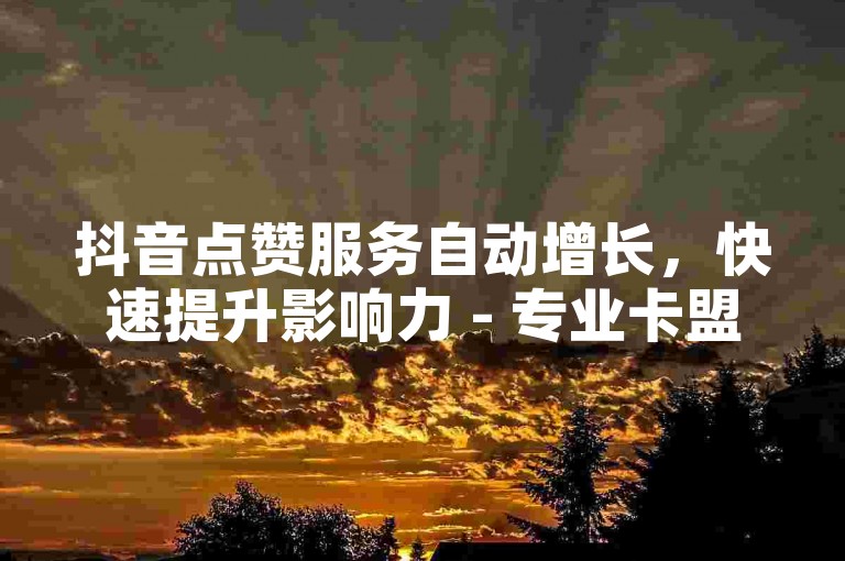 抖音点赞服务自动增长，快速提升影响力 - 专业卡盟平台提供便捷下单体验。