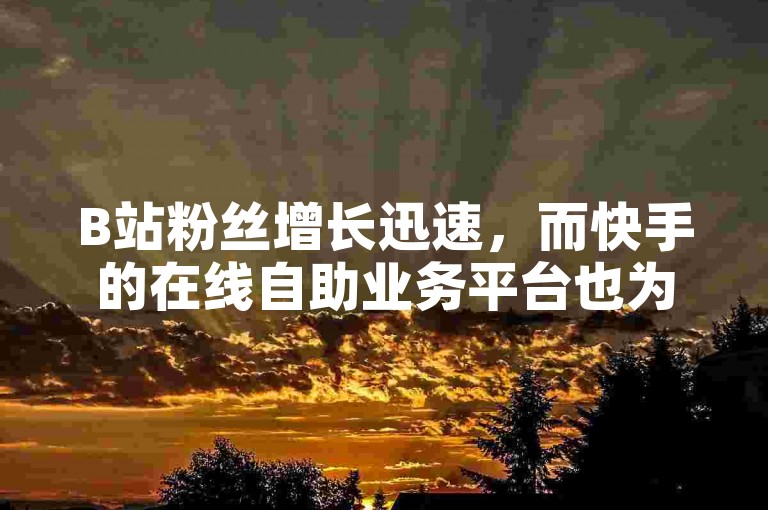 B站粉丝增长迅速，而快手的在线自助业务平台也为用户提供了便捷的服务体验。