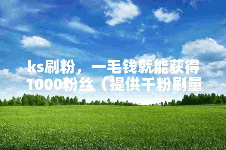 ks刷粉，一毛钱就能获得1000粉丝（提供千粉刷量服务，每千粉丝仅需一毛钱）。