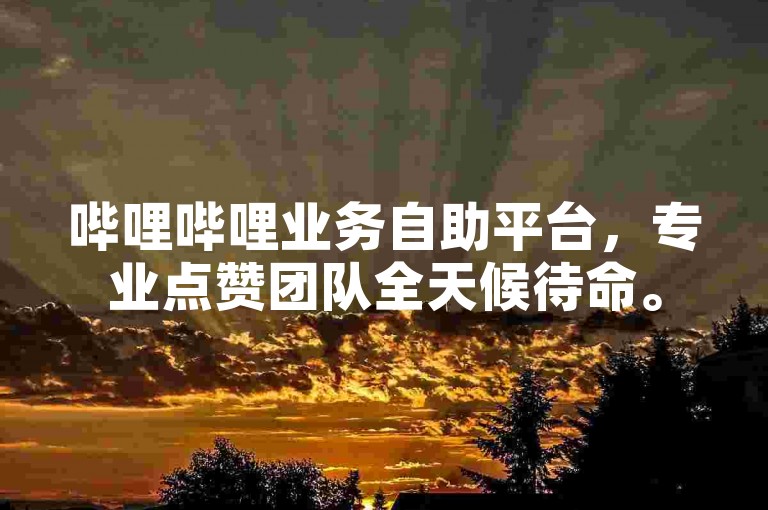 哔哩哔哩业务自助平台，专业点赞团队全天候待命。