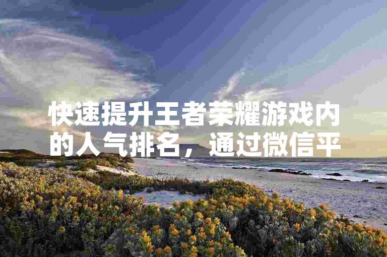 快速提升王者荣耀游戏内的人气排名，通过微信平台进行投票代投服务。