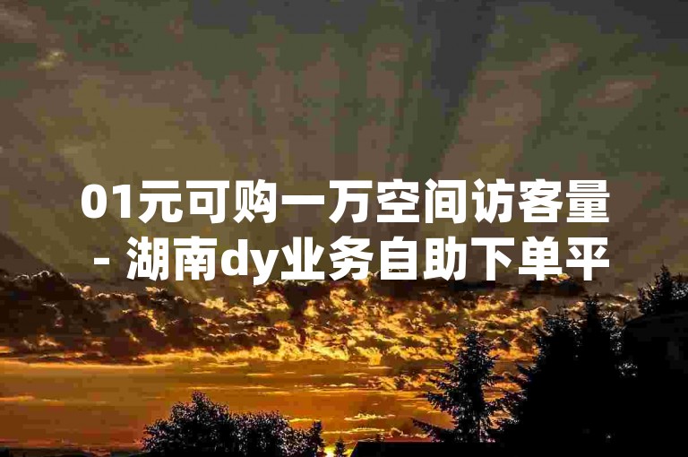 01元可购一万空间访客量 - 湖南dy业务自助下单平台