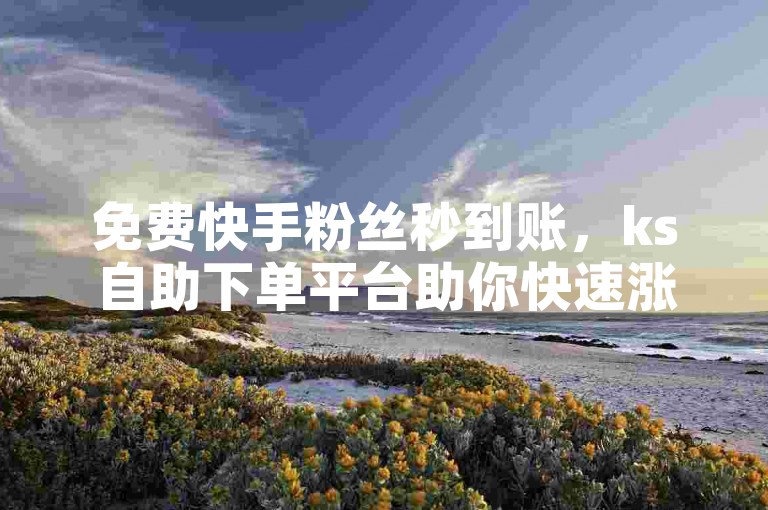 免费快手粉丝秒到账，ks自助下单平台助你快速涨粉。