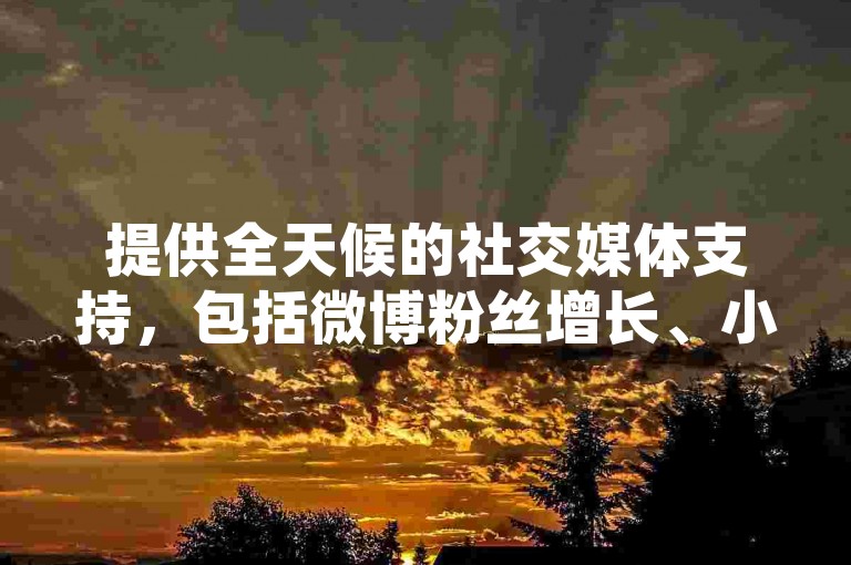 提供全天候的社交媒体支持，包括微博粉丝增长、小红书点赞与评论服务。