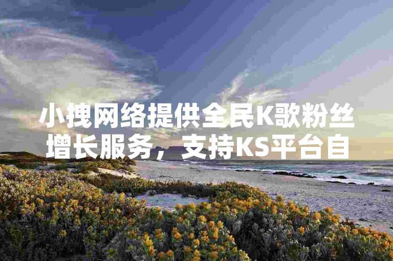 小拽网络提供全民K歌粉丝增长服务，支持KS平台自助下单。
