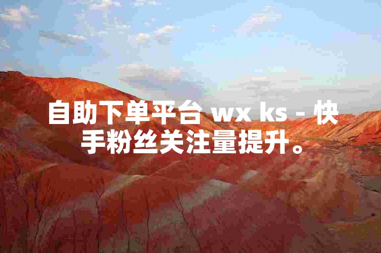 自助下单平台 wx ks - 快手粉丝关注量提升。