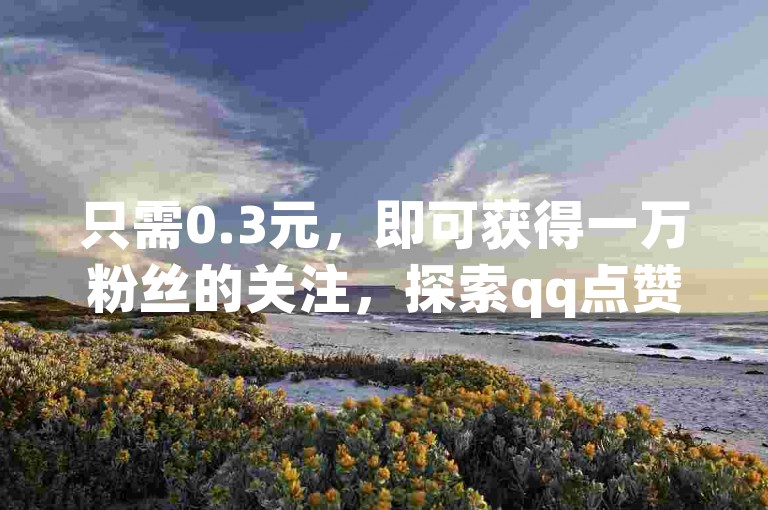 只需0.3元，即可获得一万粉丝的关注，探索qq点赞自助平台，享受全网最低价的1元100赞服务，空间自助下单业务等你来体验。