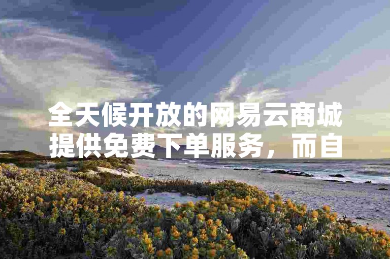 全天候开放的网易云商城提供免费下单服务，而自助业务网则是一个24小时不间断的自助下单平台。