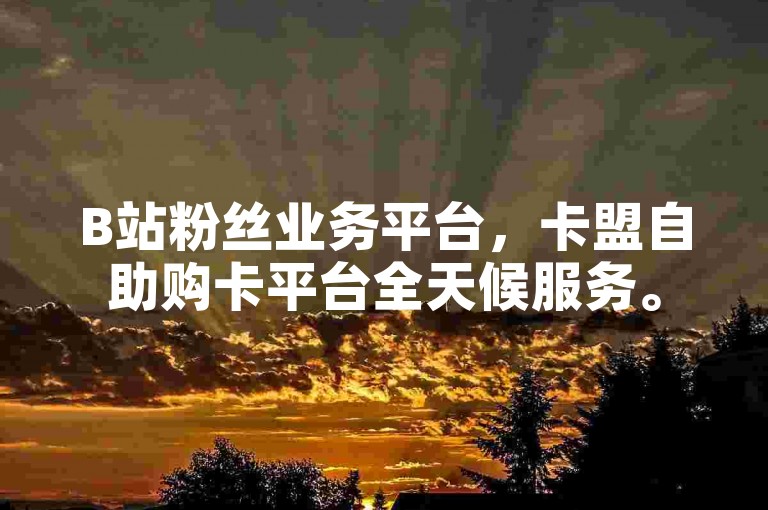 B站粉丝业务平台，卡盟自助购卡平台全天候服务。