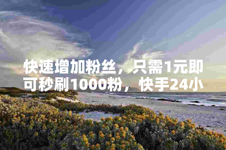 快速增加粉丝，只需1元即可秒刷1000粉，快手24小时自助免费下单软件助你轻松实现。