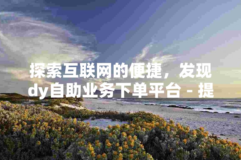 探索互联网的便捷，发现dy自助业务下单平台 - 提供全网最低价的自助服务，让每一次点击都充满惊喜。