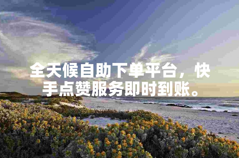 全天候自助下单平台，快手点赞服务即时到账。