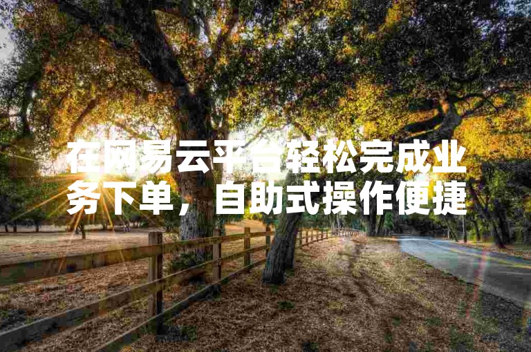 在网易云平台轻松完成业务下单，自助式操作便捷高效。