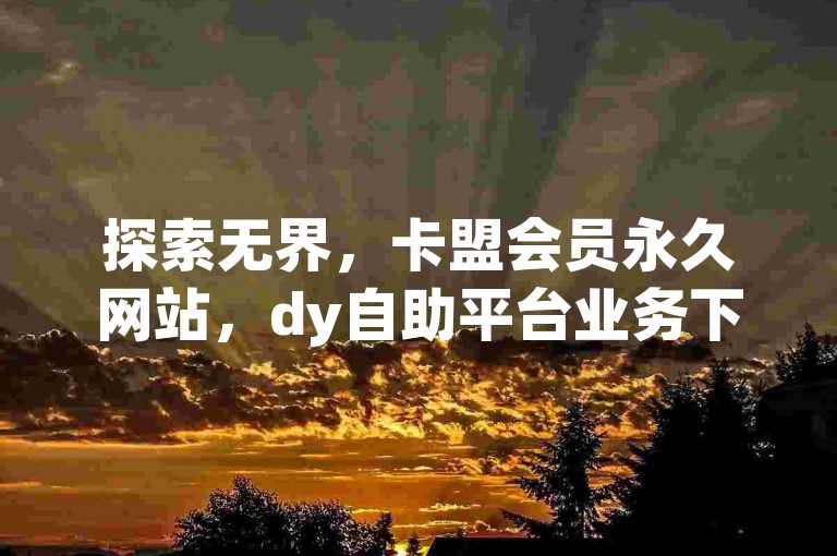 探索无界，卡盟会员永久网站，dy自助平台业务下单真人 - dy科技助手，Ks低价双击免费微信支付，畅享无限可能。