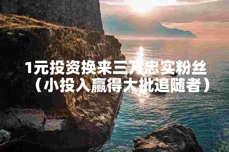 1元投资换来三万忠实粉丝（小投入赢得大批追随者）