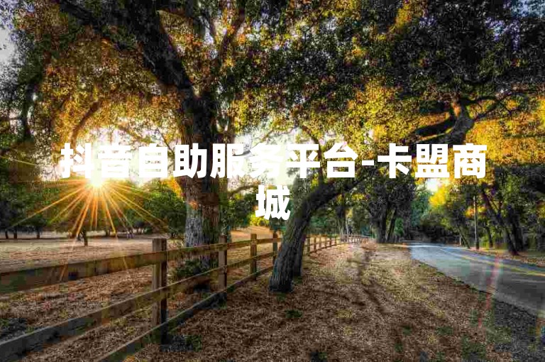 抖音自助服务平台-卡盟商城