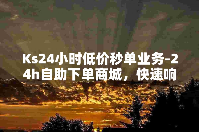 Ks24小时低价秒单业务-24h自助下单商城，快速响应，无需等待。