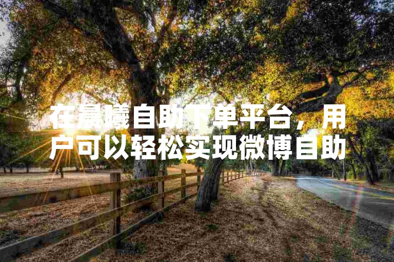 在晨曦自助下单平台，用户可以轻松实现微博自助下单。