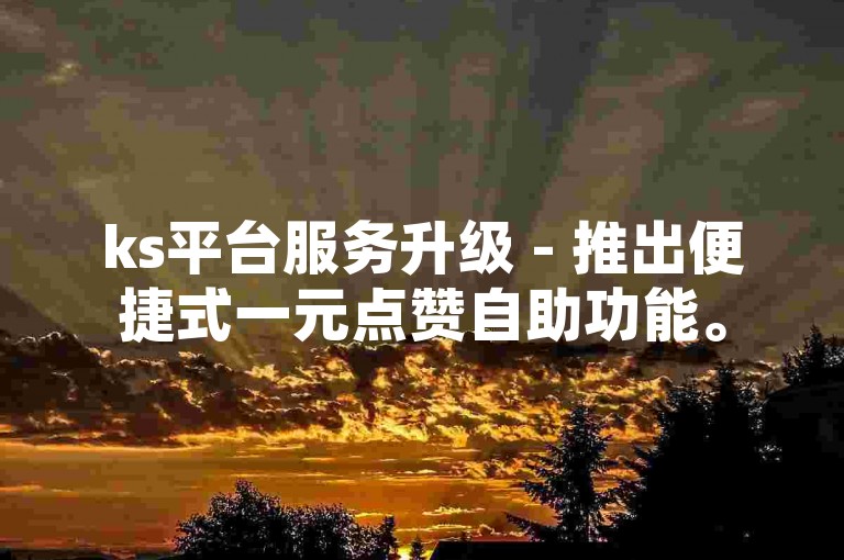 ks平台服务升级 - 推出便捷式一元点赞自助功能。