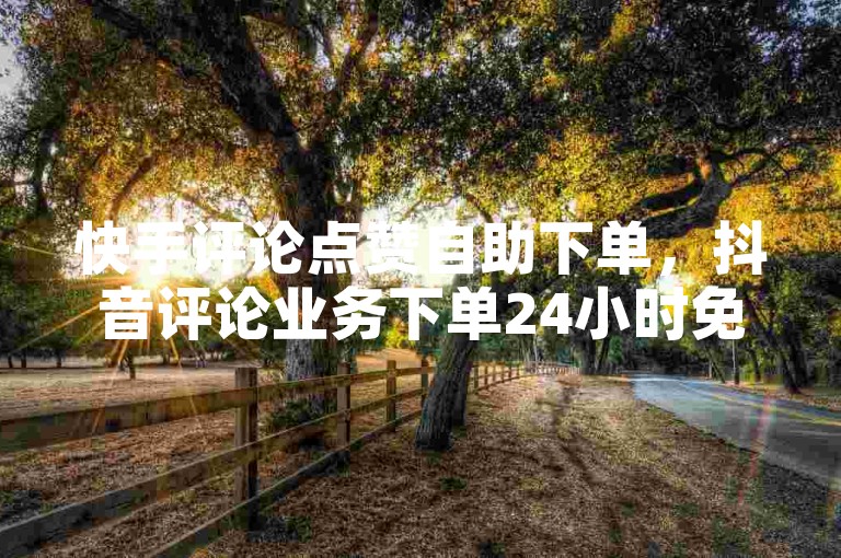 快手评论点赞自助下单，抖音评论业务下单24小时免费 - 全网最低价在线刷ks业务。