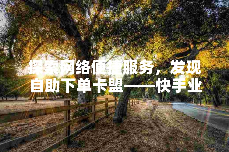 探索网络便捷服务，发现自助下单卡盟——快手业务增长的加速平台。