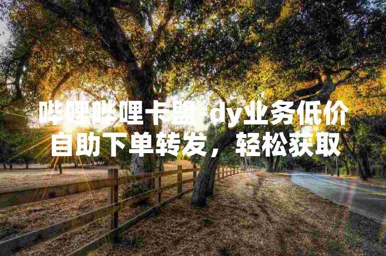 哔哩哔哩卡盟-dy业务低价自助下单转发，轻松获取热门视频资源。