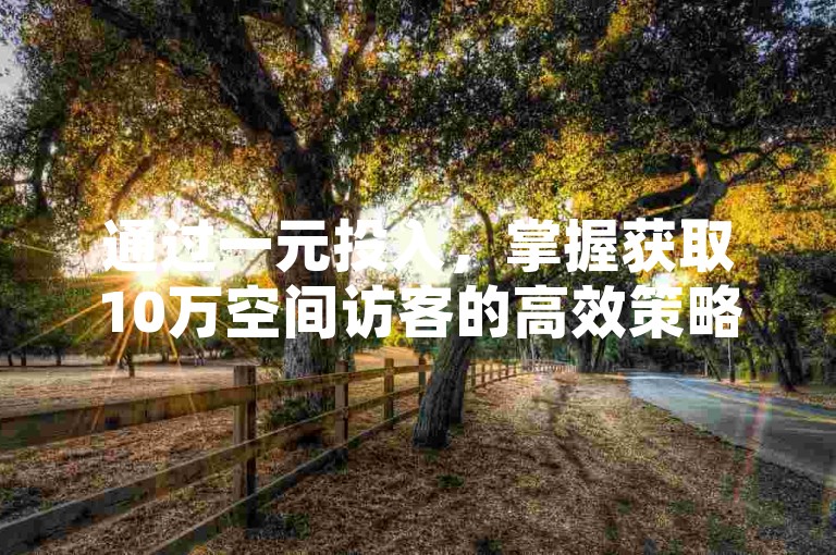 通过一元投入，掌握获取10万空间访客的高效策略。